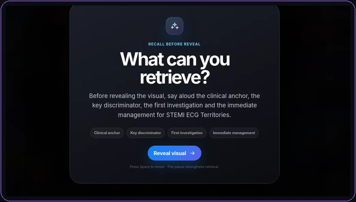 Visual learning and active recall workflow for medical revision