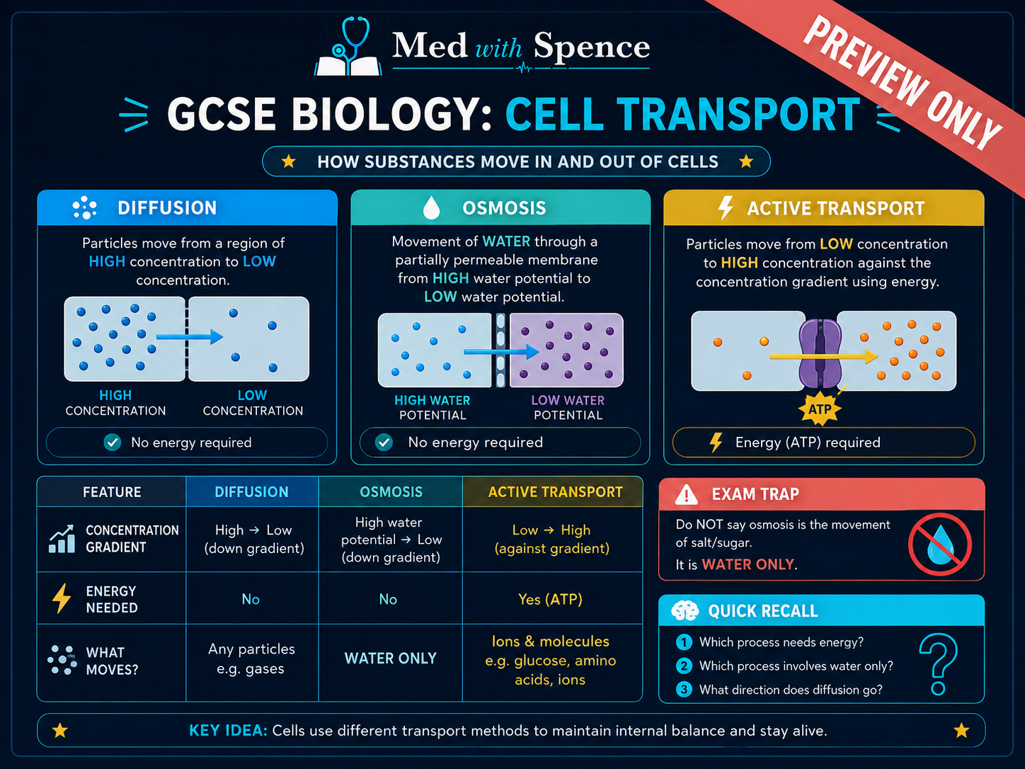 GCSE Biology note preview